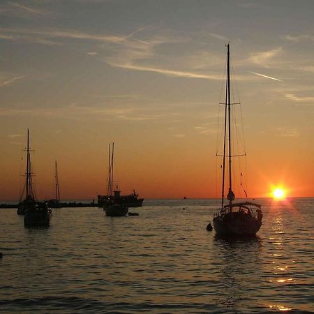 Apartments In Novigrad - Istrien 46738 Karpinjan Eksteriør billede