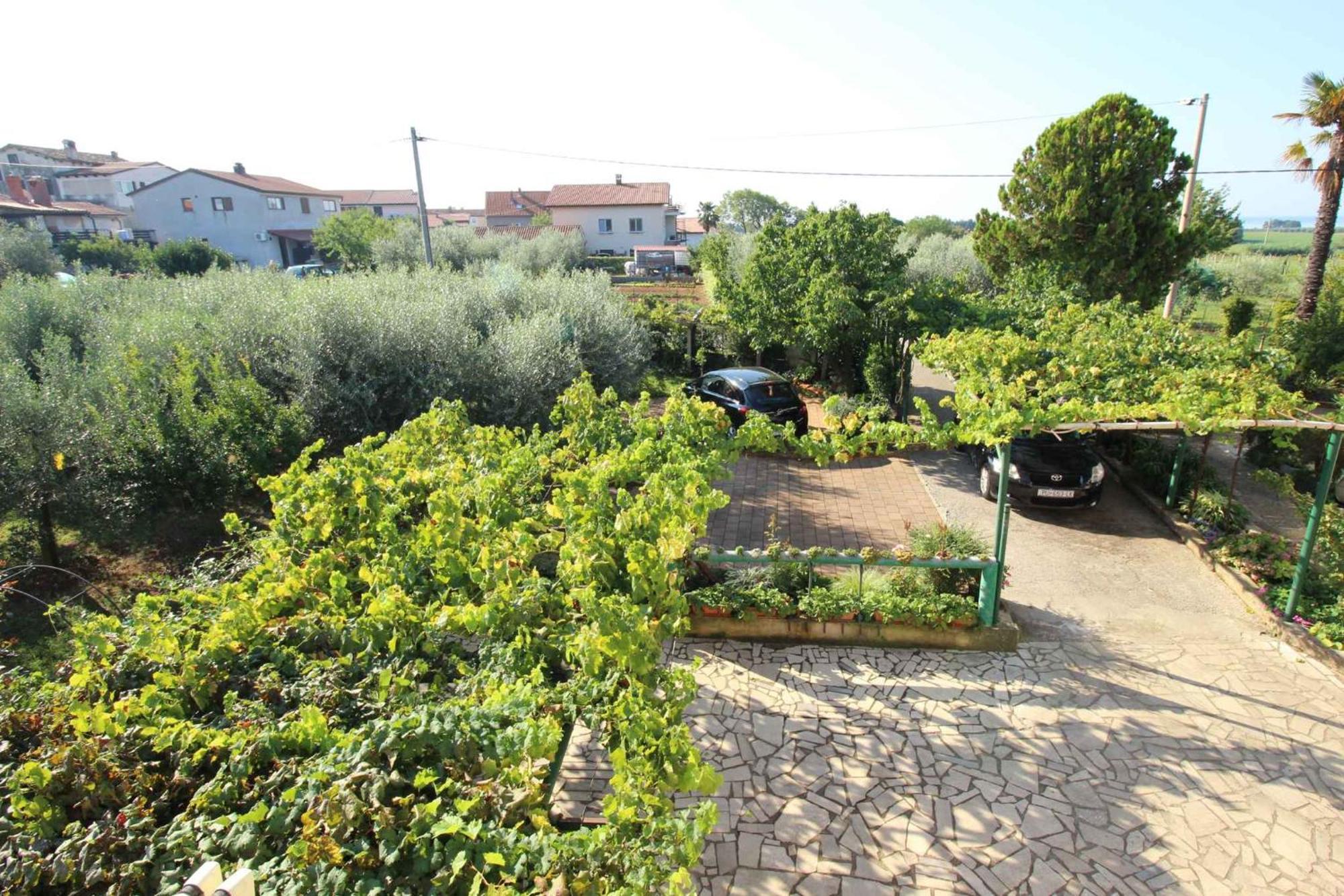 Apartments In Novigrad - Istrien 46738 Karpinjan Eksteriør billede